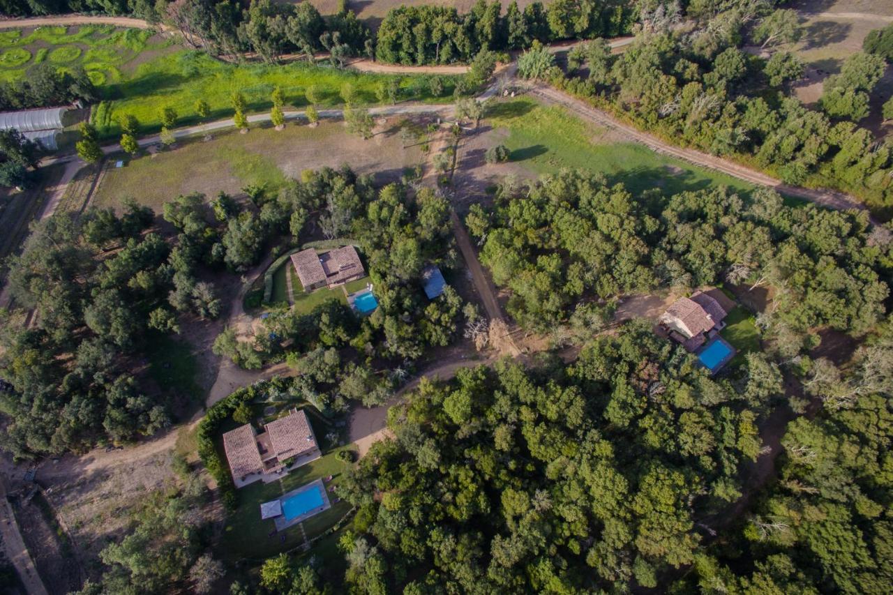 Villa Domaine Finili Cauro Exterior foto
